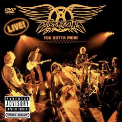 Aerosmith - You Gotta Move