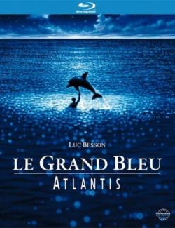   / Le grand bleu