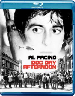   / Dog Day Afternoon MVO+AVO