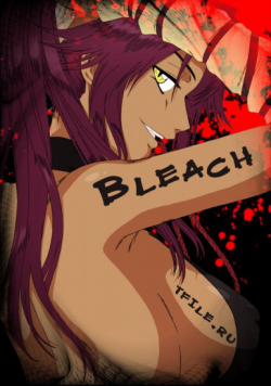  / Bleach [TV] [ 319-328  ] [RAW] [JAP+SUB] [720p]