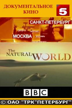 BBC:   / The Natural World (102 )