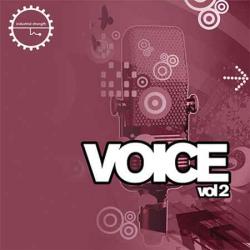 Industrial Strength Records - Voice 2