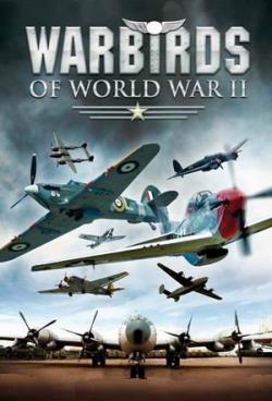      [10   10] / War Birds Of World War II VO