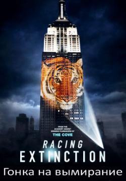    / Racing Extinction DVO