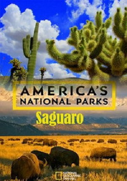   .  / America's National Parks. Saguaro DUB