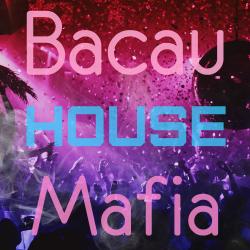 VA - BacauHouseMafia vol.9