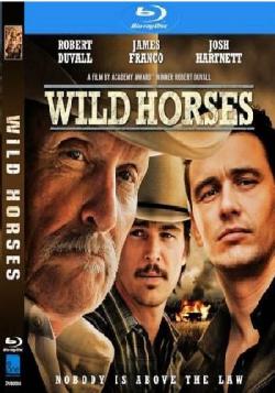   / Wild Horses DUB