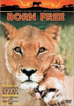   / Born Free DVO