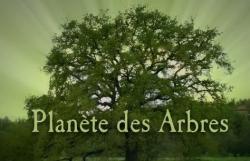   (1-11 ) / Planeta des Arbres DVO