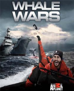   (2 , 1-11   11) / Whale Wars MVO