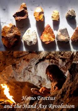  ,     / Homo Erectus and the Hand Axe Revolution DVO