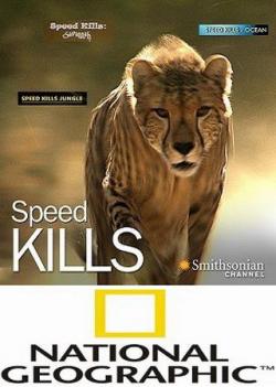   / NAT GEO WILD. Queen of the chase DUB