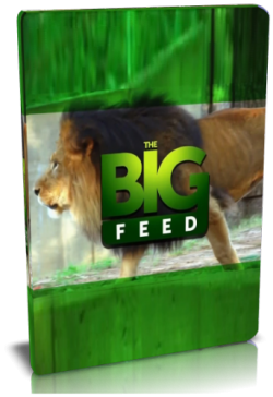   / NAT GEO WILD. The Big Feed DVO