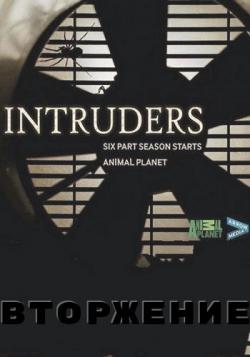  (1-6   6) / Animal Planet. Intruders VO