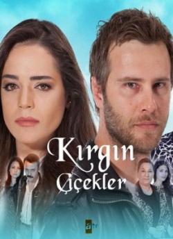   1  27-35   50 / Kirgin cicekler [. ]