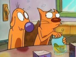  1-3  58  / CatDog