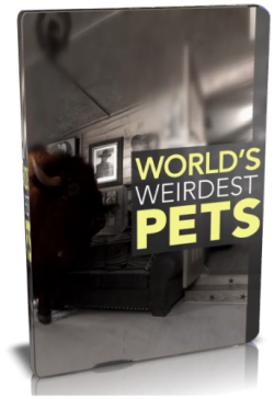      / NAT GEO WILD. World's weirdest pets VO