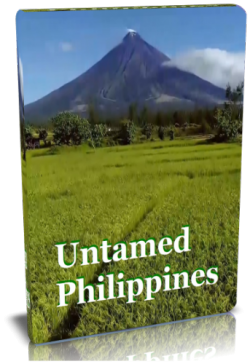  .  / NAT GEO WILD. Untamed Philippines. Wild Paradise VO